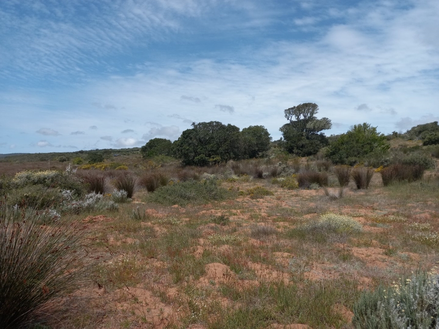 3 Bedroom Property for Sale in Stilbaai Rural Western Cape